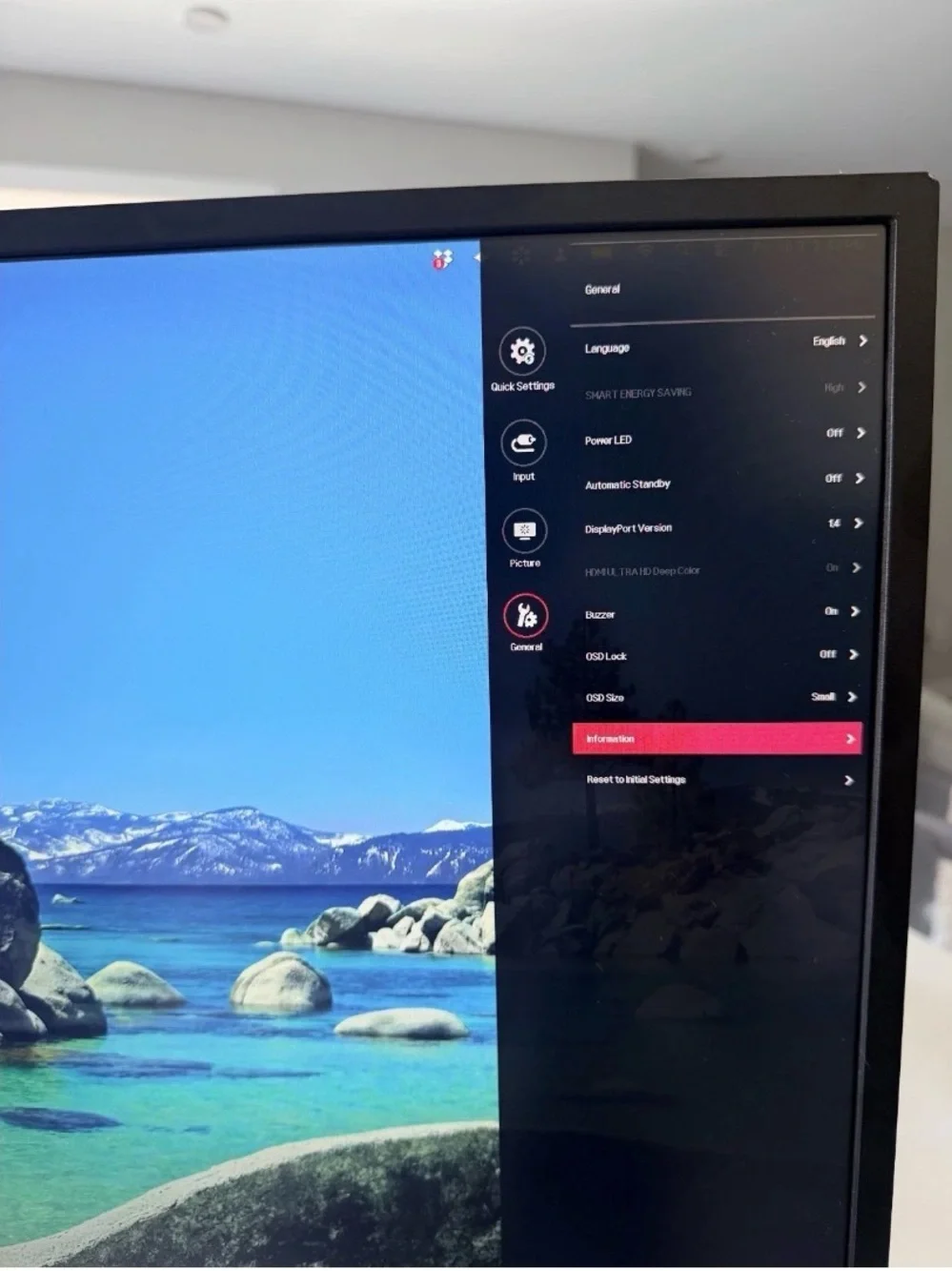 LG White Monitor with Silver Curved Stand